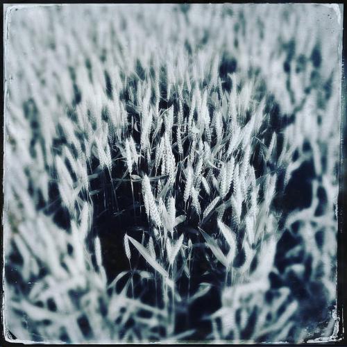 27164065954 dcfa795e4d b